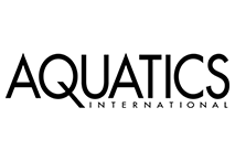 梦幻设计奖
